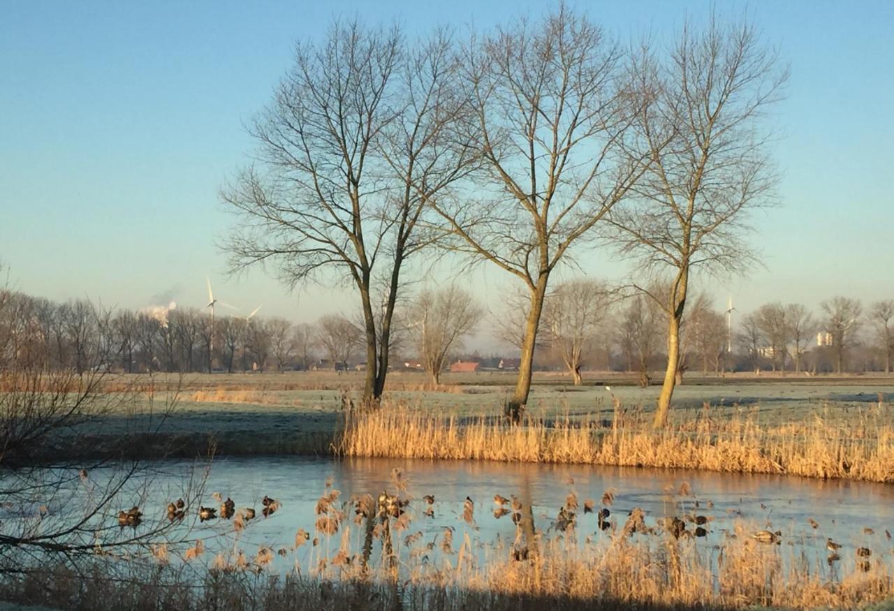 Logies De Meerkoet Bruges Extérieur photo