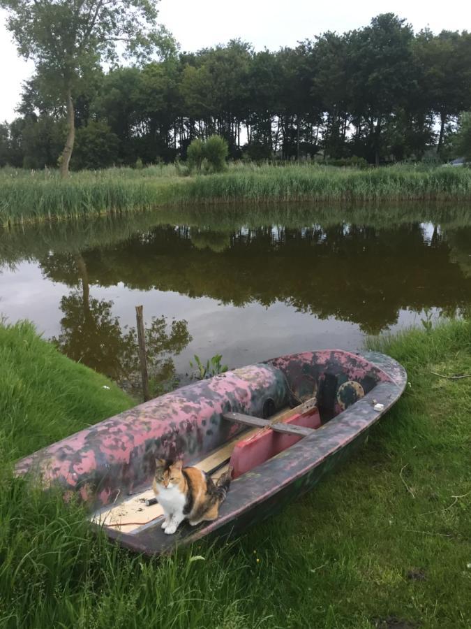Logies De Meerkoet Bruges Extérieur photo